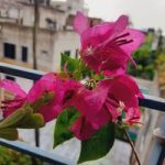 দুই রুমের ফ‍্যামিলি বাসা ভাড়া হবে - পূর্ব বানিয়াখামার owner